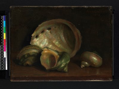 Seashells by Mark Gertler